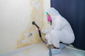 Why You Should Choose Our Mold Remediation Services in Miles City, MT